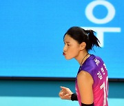 '3-0셧아웃 마지막 득점 가동 김연경'[포토]