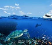 포시즌스 리조트 몰디브, '윈터 원더 크루즈' 운행...완벽한 몰디브 바다여행 만끽!