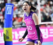 '김연경·옐레나 40점 합작' 흥국생명 파죽의 4연승…현대건설 바짝 추격