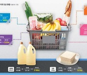 [가치소비 '디깅 강원'] 두부까지 15.5% 가격 ‘껑충’ 세일기간 생필품 대량구매 유행