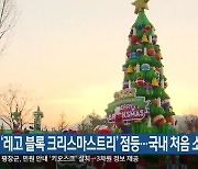 ‘레고 블록 크리스마스트리’ 점등…국내 처음 소개