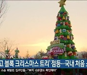 ‘레고 블록 크리스마스 트리’ 점등…국내 처음 소개