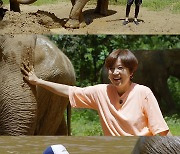 '너 좋아하는 거 알지?'…김용만, 이번엔 코끼리와 로맨스