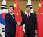 한미일과 연쇄회담 시진핑, 올리브 가지 흔들며 디커플링 견제