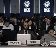 COP27 Climate Summit