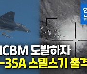 [영상] 군, F-35A 첫 동원 '정밀타격' 훈련…북한 ICBM 도발에 대응