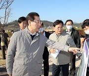 김영록 지사, 한반도 평화의 숲 조성 현장 둘러봐