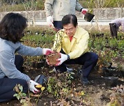 동대문구, 중랑천 둔치 잔디광장에 대규모 꽃 단지 조성