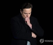 "머스크가 트위터 훼손"…美 민주 상원의원들 조사 촉구