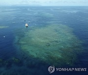 호주, 태평양 도서국과 2026년 유엔 기후정상회의 공동유치 추진