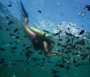 필리핀, 세계 최고 다이빙 및 해변 여행지로 다시 한번 선정
