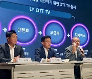 "OTT, 경쟁 대신 한 플랫폼에 품는다" LG유플러스 IPTV 전면 개편