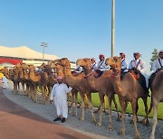 카타르 월드컵 개막전에 낙타부대, 기마부대 총출동… 카타르 개최국 첫 경기 무패 이어갈까