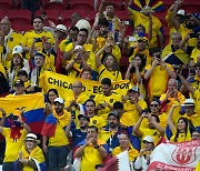 [월드컵] 승리에 취한 에콰도르 응원단 "우리는 맥주를 원한다!"