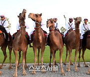 [포토] 낙타 탄 카타르 경찰들