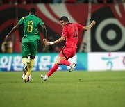 [카타르 WC 말말말] "가시 없는 장미 없다"…김민재, 나폴리와 월드컵 직후 재계약설