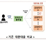 대환대출 플랫폼 내년 도입… 2금융권, 차주 이탈 걱정