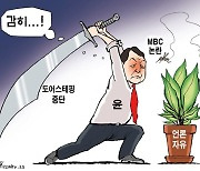 한국일보 11월 22일 만평