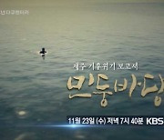 위기의 제주 바다…23일 KBS제주 특집 다큐 ‘민둥바당’