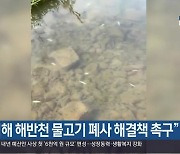 “김해 해반천 물고기 폐사 해결책 촉구”