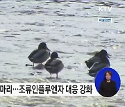 11월 겨울철새 143만 마리 도래, 조류인플루엔자 대비 강화