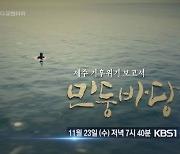 KBS제주, 기후위기 특집다큐 '민둥바당' 방영