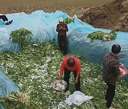 中 일상용 신발신고 절임채소 만들어..."시장에 가져와 팔아"