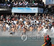 차가운 겨울 바다로…거제 국제펭귄수영축제 내달 10일 '풍덩'
