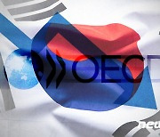 OECD, 내년 한국 성장률 1.8%로 낮췄다…내후년도 1.9% 그쳐