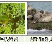 인천시-포스코인터내셔널, 인천 깃대종 보전에 공동 노력