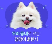 [포토클립] “당신의 반려견은 막둥이형” DBTI를 아시나요?