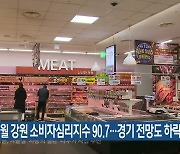 11월 강원 소비자심리지수 90.7…경기 전망도 하락
