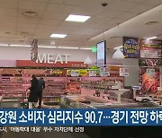 11월 강원 소비자 심리지수 90.7…경기 전망 하락