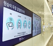 South Korea’s 4th monkeypox patient in stable condition: KDCA