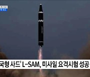 '한국형 사드' L-SAM, 미사일 요격시험 성공