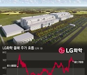 4조원 투자한 美 최대 양극재 공장…LG화학, 주가 '들썩'