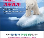 창원시, '버스정류장 북극곰을 찾아라' 이벤트 개최