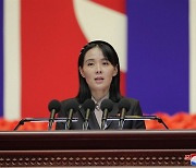[속보] 北 김여정 “안보리 이중기준…미국과 추종세력의 망동”