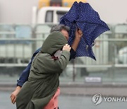 전국에 비…강원영동·경북동해안 오늘 밤 '시간당 20㎜'