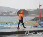 전국에 비…강원영동·경북동해안 오늘 밤 '시간당 20㎜'(종합)