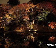 日 히고-호소카와 정원의 야경