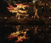 日 히고-호소카와 정원의 야경을 즐기는 사람들