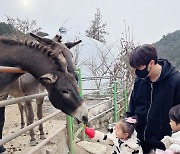 율희, ♥최민환+삼남매와 동물원 찾았지만..."털 알러지에 눈물 줄줄"