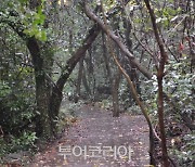 '제주의 숲, 곶자왈을 마주하다'..국립산림과학원, 국회 사진전 개최