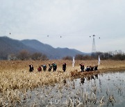 춘천 의암호 레저문화 구축 국·도비 확보 나서
