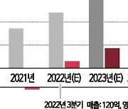 [기업탐구]비플라이소프트, 무증에도 날개 없는 추락 이유는