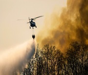 충청권 산불, 지난해보다 2.4배 늘어…기후변화로 피해 커진다