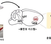 한의학연, 침 치료의 수면장애 완화 기전 규명