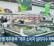 한국은행 제주본부 “제주 소비자 심리지수 하락”