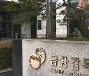 금감원, 무디스 초청 여신전문금융회사 리스크 세미나 개최